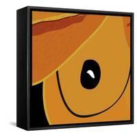 Ojo-Belen Mena-Framed Stretched Canvas