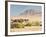 Okahirongo Lodge, Purros Conservancy Wilderness, Kaokoland, Namibia, Africa-Kim Walker-Framed Photographic Print