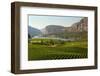 Okanagan Valley Vineyard Scenic, British Columbia-digimax-Framed Photographic Print