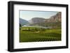 Okanagan Valley Vineyard Scenic, British Columbia-digimax-Framed Photographic Print