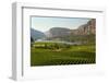 Okanagan Valley Vineyard Scenic, British Columbia-digimax-Framed Photographic Print