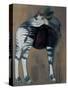 Okapi, 2005-Mark Adlington-Stretched Canvas