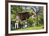 Okapi Male-null-Framed Photographic Print