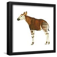 Okapi (Okapi Johnstoni), Mammals-Encyclopaedia Britannica-Framed Poster