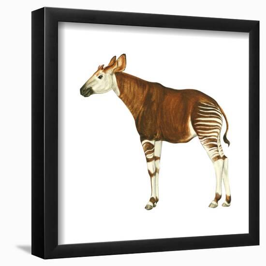 Okapi (Okapi Johnstoni), Mammals-Encyclopaedia Britannica-Framed Poster