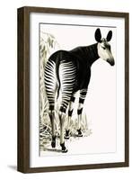 Okapi-null-Framed Giclee Print