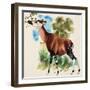 Okapi-Arthur Oxenham-Framed Premium Giclee Print