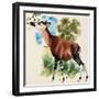 Okapi-Arthur Oxenham-Framed Premium Giclee Print