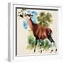 Okapi-Arthur Oxenham-Framed Premium Giclee Print