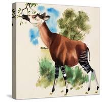 Okapi-Arthur Oxenham-Stretched Canvas