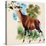 Okapi-Arthur Oxenham-Stretched Canvas