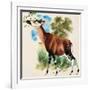 Okapi-Arthur Oxenham-Framed Giclee Print