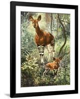 Okapis of the Congo-null-Framed Giclee Print