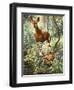 Okapis of the Congo-null-Framed Giclee Print