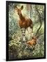 Okapis of the Congo-null-Framed Giclee Print