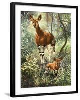 Okapis of the Congo-null-Framed Premium Giclee Print