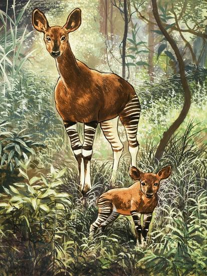 Premium Giclee Print, , large