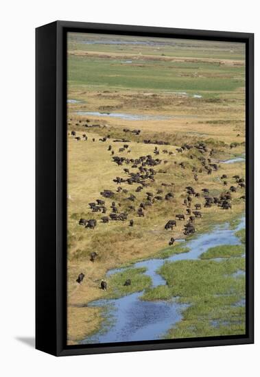 Okavango Delta Aerial-Michele Westmorland-Framed Stretched Canvas