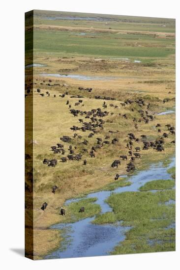 Okavango Delta Aerial-Michele Westmorland-Stretched Canvas
