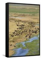 Okavango Delta Aerial-Michele Westmorland-Framed Stretched Canvas