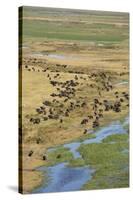 Okavango Delta Aerial-Michele Westmorland-Stretched Canvas