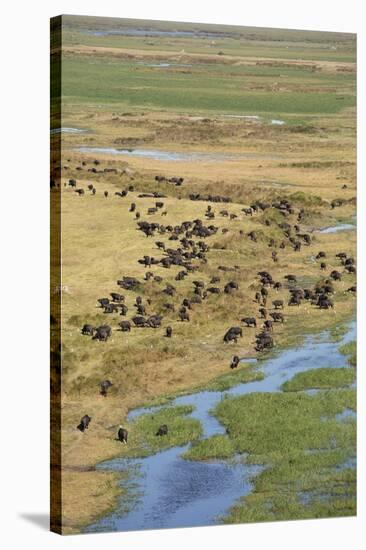 Okavango Delta Aerial-Michele Westmorland-Stretched Canvas