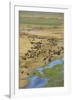 Okavango Delta Aerial-Michele Westmorland-Framed Premium Photographic Print