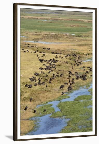 Okavango Delta Aerial-Michele Westmorland-Framed Premium Photographic Print