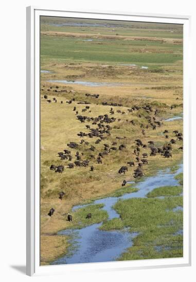 Okavango Delta Aerial-Michele Westmorland-Framed Premium Photographic Print