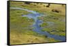Okavango Delta Aerial-Michele Westmorland-Framed Stretched Canvas