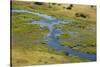 Okavango Delta Aerial-Michele Westmorland-Stretched Canvas