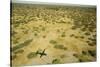 Okavango Delta Aerial-Michele Westmorland-Stretched Canvas