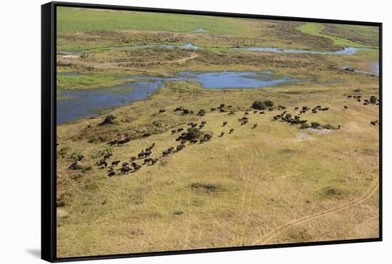 Okavango Delta Aerial-Michele Westmorland-Framed Stretched Canvas