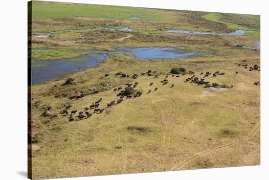 Okavango Delta Aerial-Michele Westmorland-Stretched Canvas