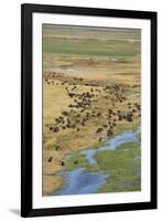 Okavango Delta Aerial-Michele Westmorland-Framed Photographic Print