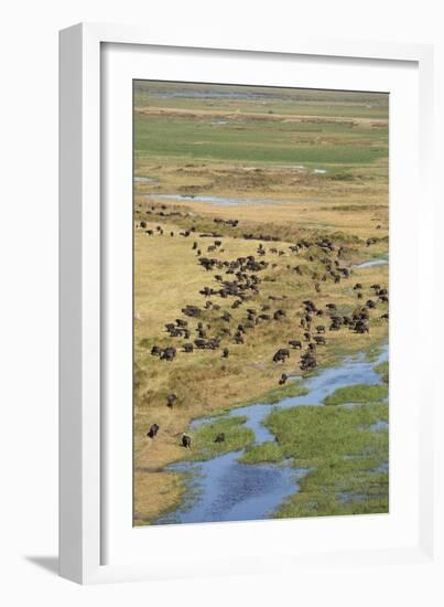 Okavango Delta Aerial-Michele Westmorland-Framed Photographic Print