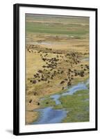 Okavango Delta Aerial-Michele Westmorland-Framed Photographic Print