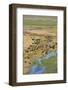 Okavango Delta Aerial-Michele Westmorland-Framed Photographic Print