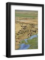 Okavango Delta Aerial-Michele Westmorland-Framed Photographic Print