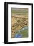 Okavango Delta Aerial-Michele Westmorland-Framed Photographic Print