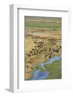 Okavango Delta Aerial-Michele Westmorland-Framed Photographic Print