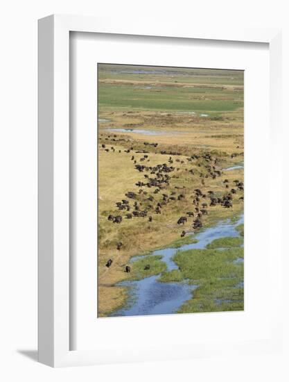 Okavango Delta Aerial-Michele Westmorland-Framed Photographic Print