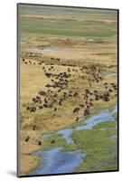 Okavango Delta Aerial-Michele Westmorland-Mounted Photographic Print