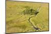 Okavango Delta Aerial-Michele Westmorland-Mounted Photographic Print