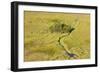 Okavango Delta Aerial-Michele Westmorland-Framed Photographic Print