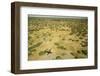 Okavango Delta Aerial-Michele Westmorland-Framed Photographic Print