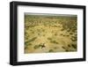 Okavango Delta Aerial-Michele Westmorland-Framed Photographic Print