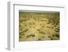 Okavango Delta Aerial-Michele Westmorland-Framed Photographic Print