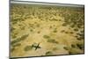 Okavango Delta Aerial-Michele Westmorland-Mounted Photographic Print