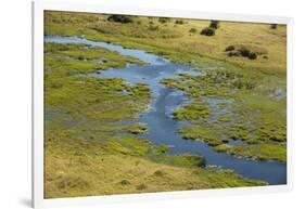 Okavango Delta Aerial-Michele Westmorland-Framed Photographic Print